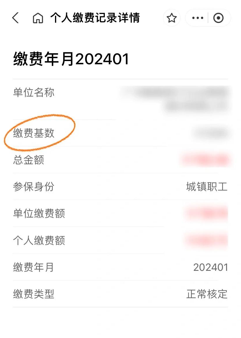 个人并老金领取计算器(个人领取养老金计算公式)
